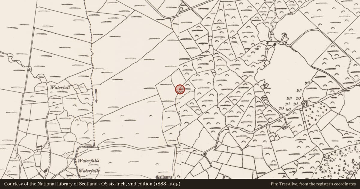 Ordnance Survey six-inch map, 2nd edition (1888–1915) covering the location of Hut site, Fanahy, County Cork, with a pin at the register's coordinates