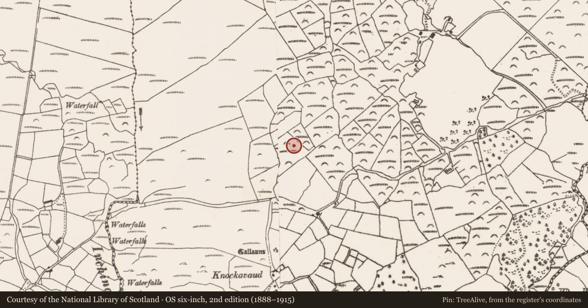 Ordnance Survey six-inch map, 2nd edition (1888–1915) covering the location of Fulacht fia, Fanahy, County Cork, with a pin at the register's coordinates