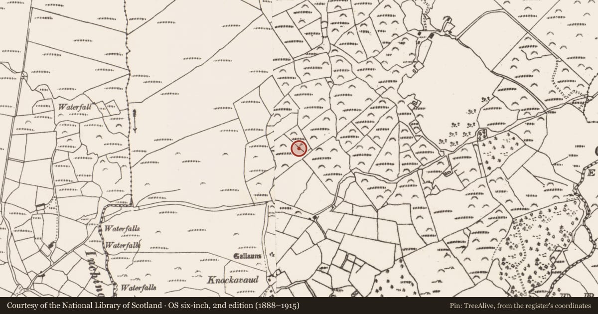 Ordnance Survey six-inch map, 2nd edition (1888–1915) covering the location of Burnt mound, Fanahy, County Cork, with a pin at the register's coordinates