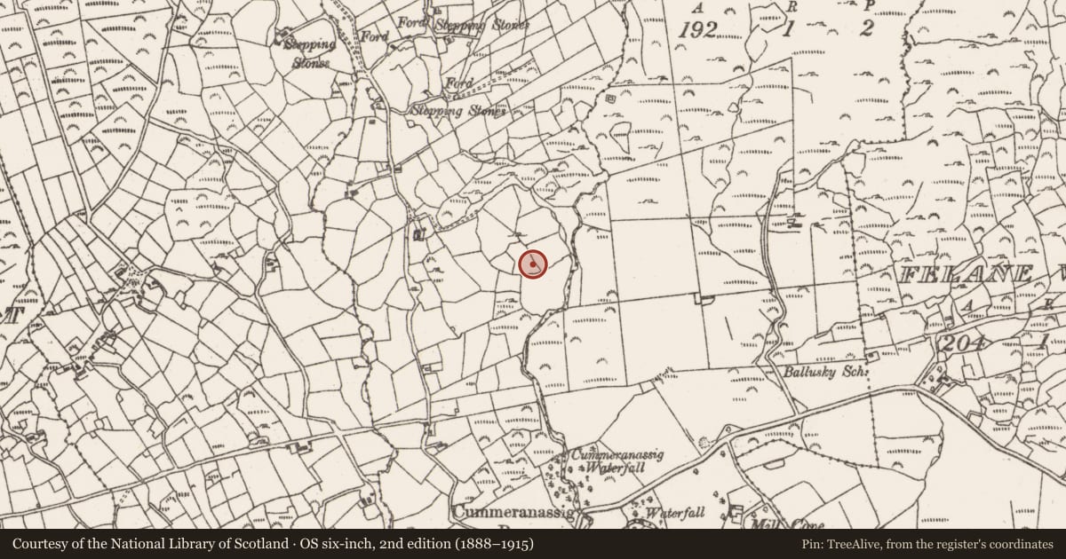 Ordnance Survey six-inch map, 2nd edition (1888–1915) covering the location of Ringfort - rath, Derrymihin East, County Cork, with a pin at the register's coordinates