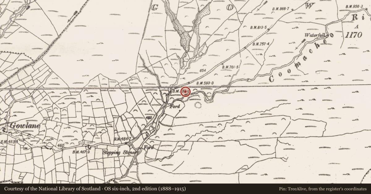 Ordnance Survey six-inch map, 2nd edition (1888–1915) covering the location of Hut site, Gowlane, County Cork, with a pin at the register's coordinates