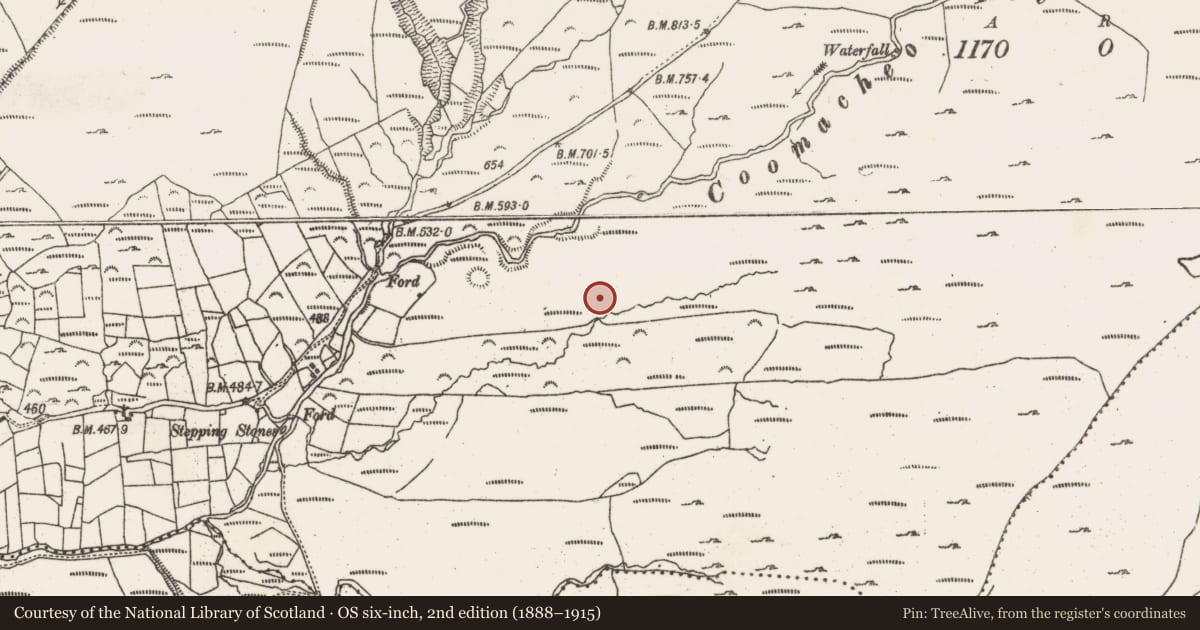 Ordnance Survey six-inch map, 2nd edition (1888–1915) covering the location of Field boundary, Gowlane, County Cork, with a pin at the register's coordinates