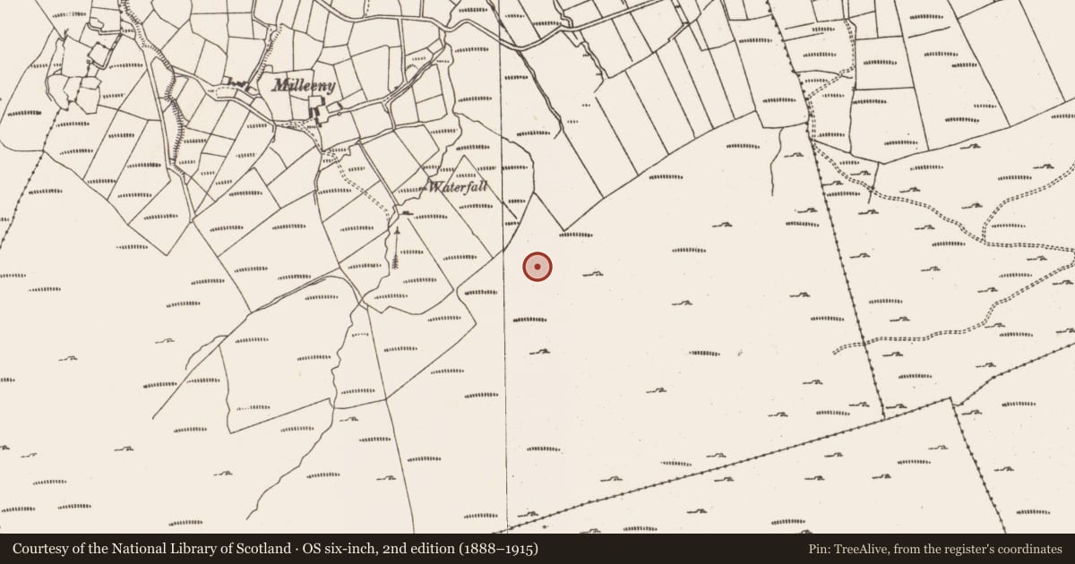 Ordnance Survey six-inch map, 2nd edition (1888–1915) covering the location of Hut site, Inches, County Cork, with a pin at the register's coordinates