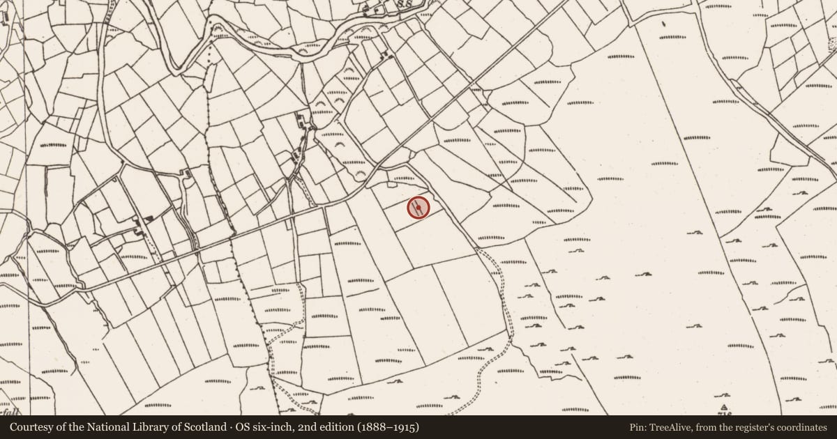 Ordnance Survey six-inch map, 2nd edition (1888–1915) covering the location of Fulacht fia, Crumpane, County Cork, with a pin at the register's coordinates