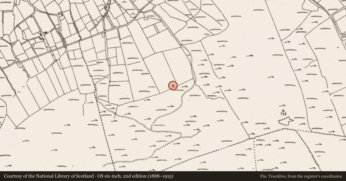 Ordnance Survey six-inch map, 2nd edition (1888–1915) covering the location of Anomalous stone group, Crumpane, County Cork, with a pin at the register's coordinates