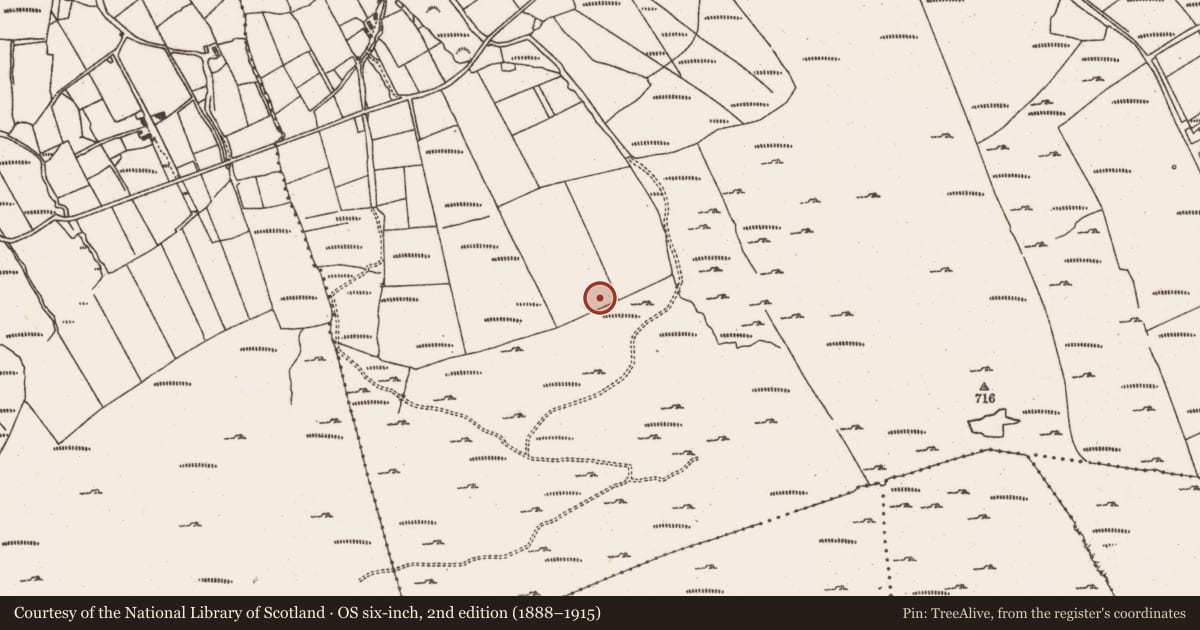 Ordnance Survey six-inch map, 2nd edition (1888–1915) covering the location of Standing stone, Crumpane, County Cork, with a pin at the register's coordinates