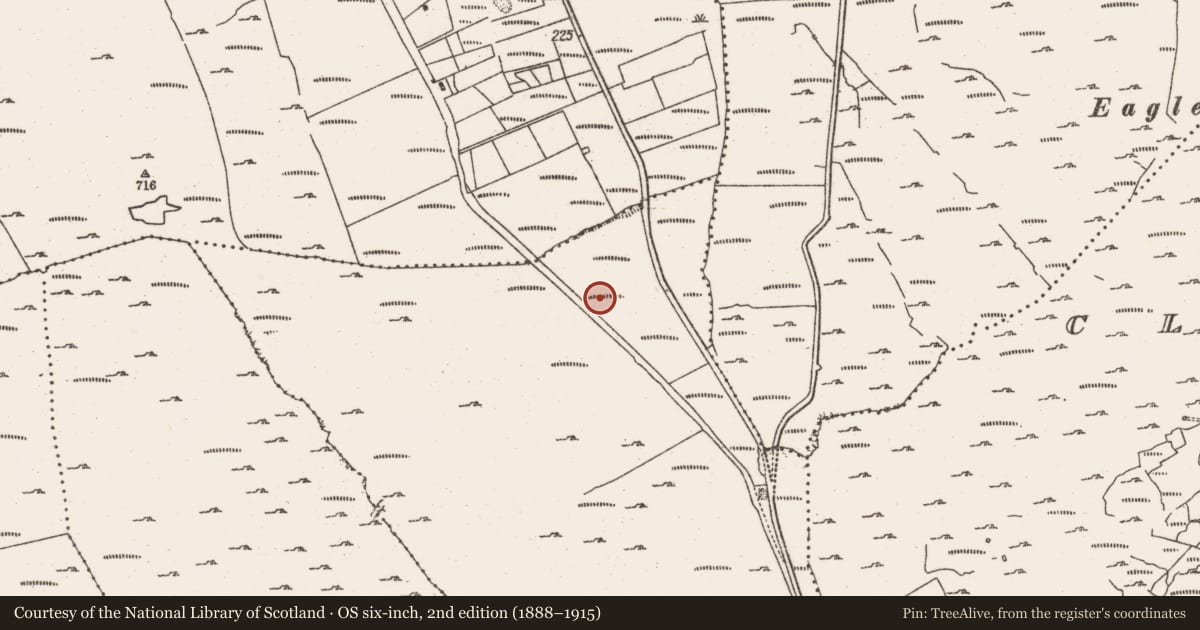 Ordnance Survey six-inch map, 2nd edition (1888–1915) covering the location of Fulacht fia, Foildarrig, County Cork, with a pin at the register's coordinates
