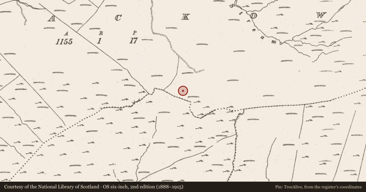 Ordnance Survey six-inch map, 2nd edition (1888–1915) covering the location of Field boundary, Kilmackowen, County Cork, with a pin at the register's coordinates