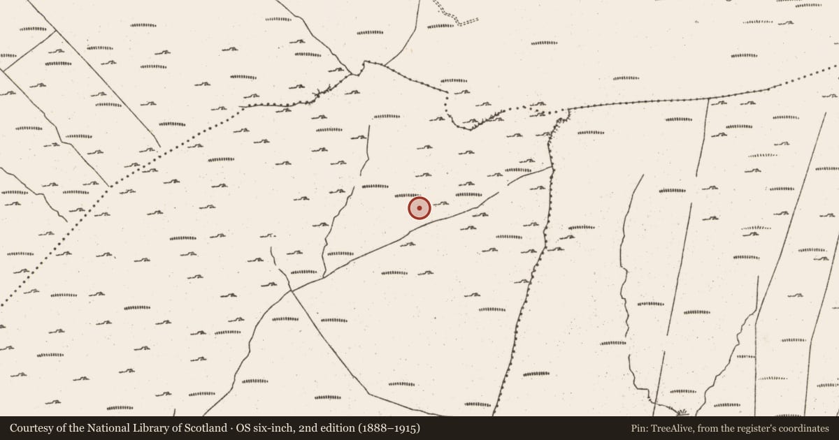 Ordnance Survey six-inch map, 2nd edition (1888–1915) covering the location of Field boundary, Cloontreem, County Cork, with a pin at the register's coordinates