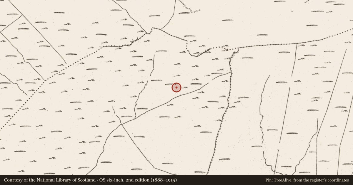Ordnance Survey six-inch map, 2nd edition (1888–1915) covering the location of Hut site, Cloontreem, County Cork, with a pin at the register's coordinates