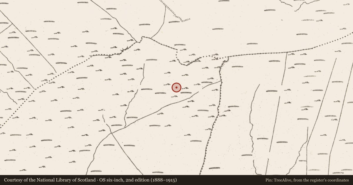 Ordnance Survey six-inch map, 2nd edition (1888–1915) covering the location of Hut site, Cloontreem, County Cork, with a pin at the register's coordinates
