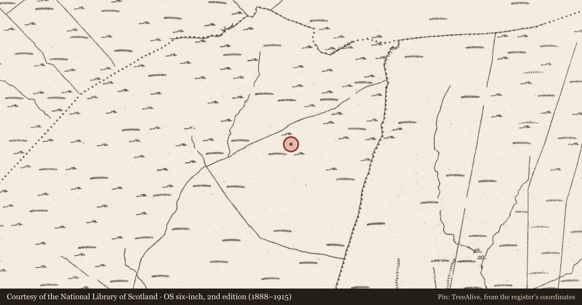 Ordnance Survey six-inch map, 2nd edition (1888–1915) covering the location of Hut site, Cloontreem, County Cork, with a pin at the register's coordinates