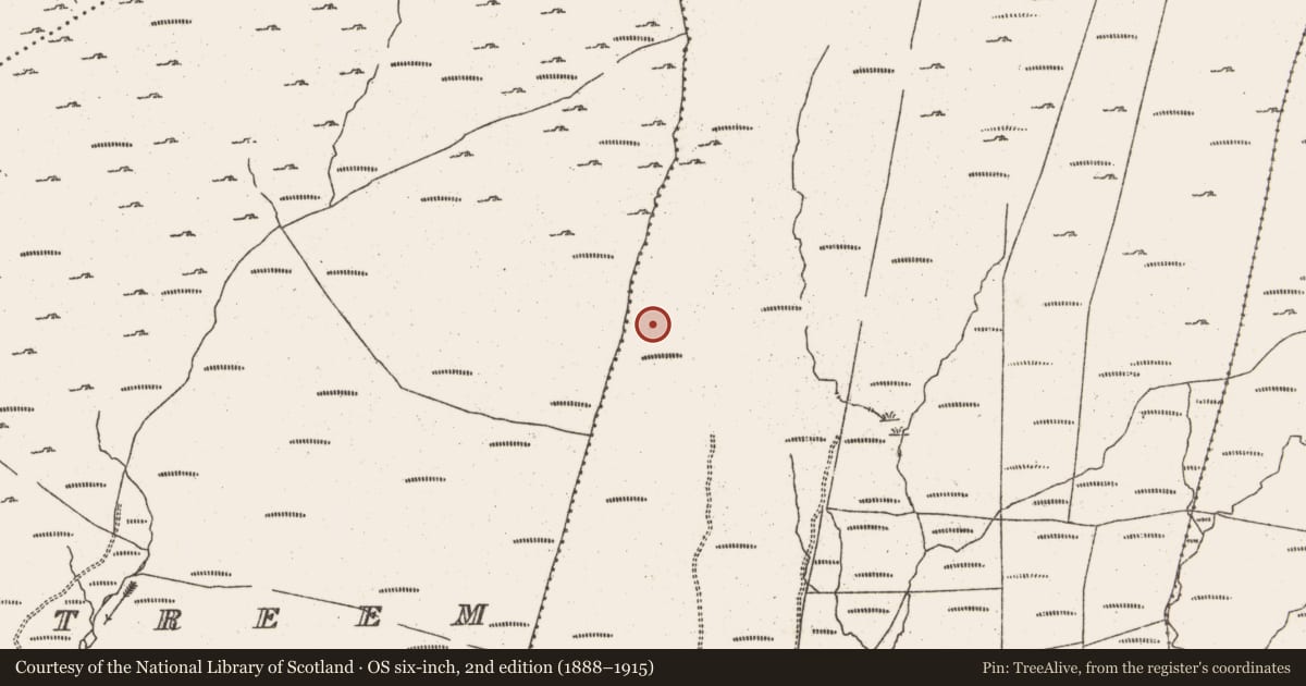 Ordnance Survey six-inch map, 2nd edition (1888–1915) covering the location of Standing stone, Rodeen, County Cork, with a pin at the register's coordinates