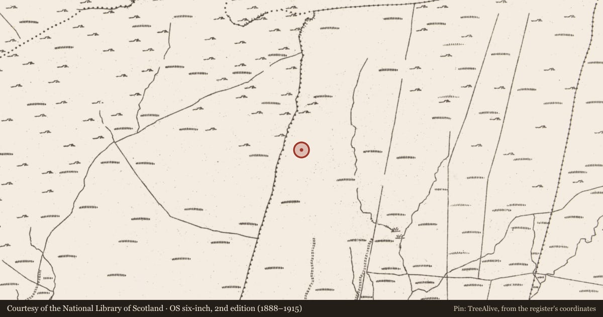 Ordnance Survey six-inch map, 2nd edition (1888–1915) covering the location of Field boundary, Rodeen, County Cork, with a pin at the register's coordinates