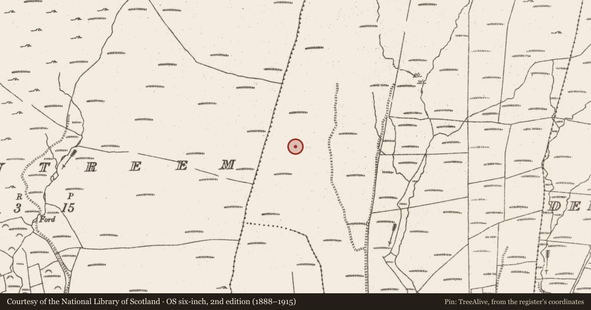 Ordnance Survey six-inch map, 2nd edition (1888–1915) covering the location of Standing stone, Rodeen, County Cork, with a pin at the register's coordinates