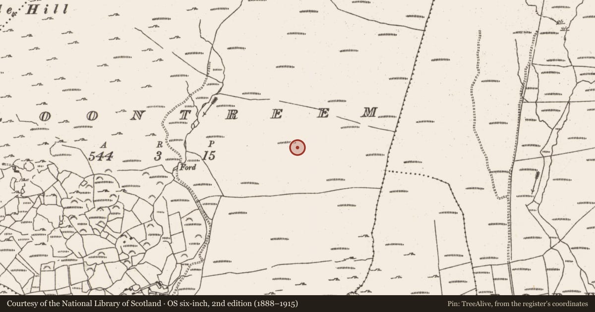 Ordnance Survey six-inch map, 2nd edition (1888–1915) covering the location of Field boundary, Cloontreem, County Cork, with a pin at the register's coordinates