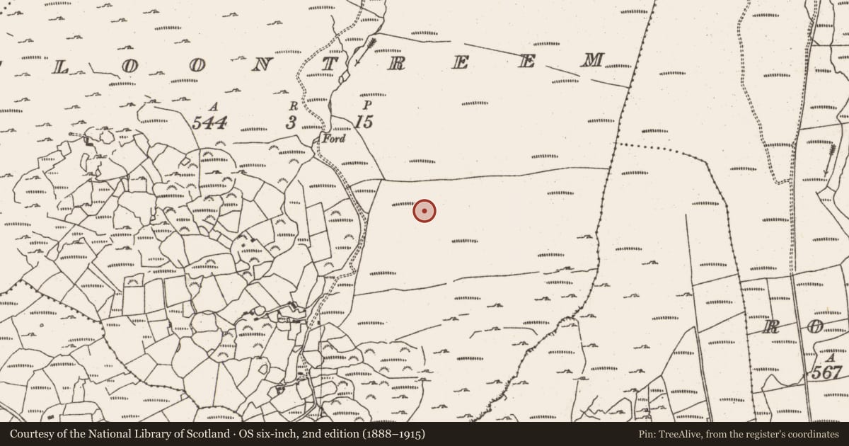 Ordnance Survey six-inch map, 2nd edition (1888–1915) covering the location of Hut site, Cloontreem, County Cork, with a pin at the register's coordinates