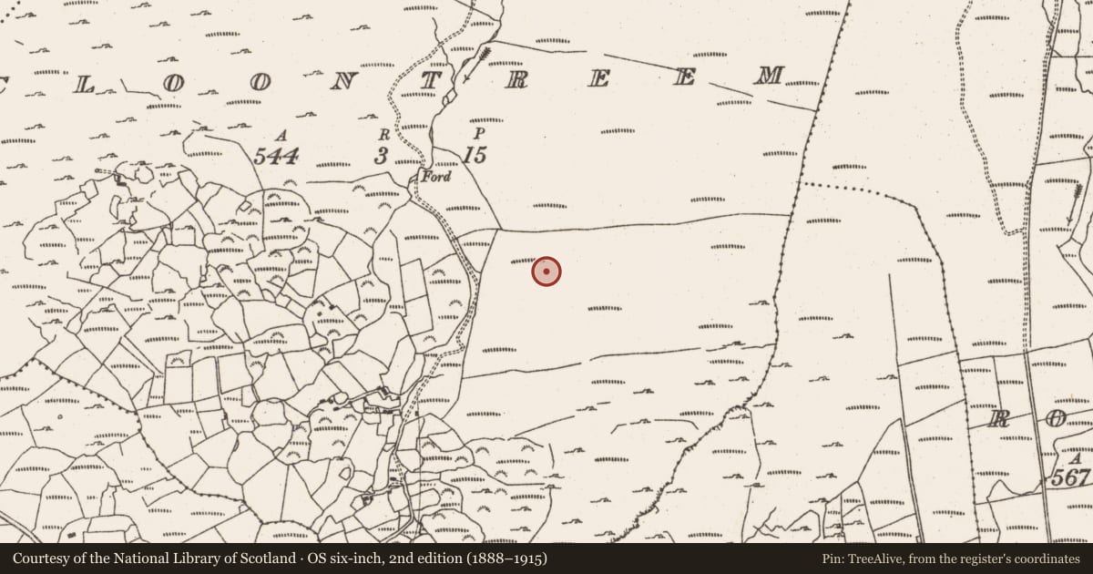 Ordnance Survey six-inch map, 2nd edition (1888–1915) covering the location of Hut site, Cloontreem, County Cork, with a pin at the register's coordinates