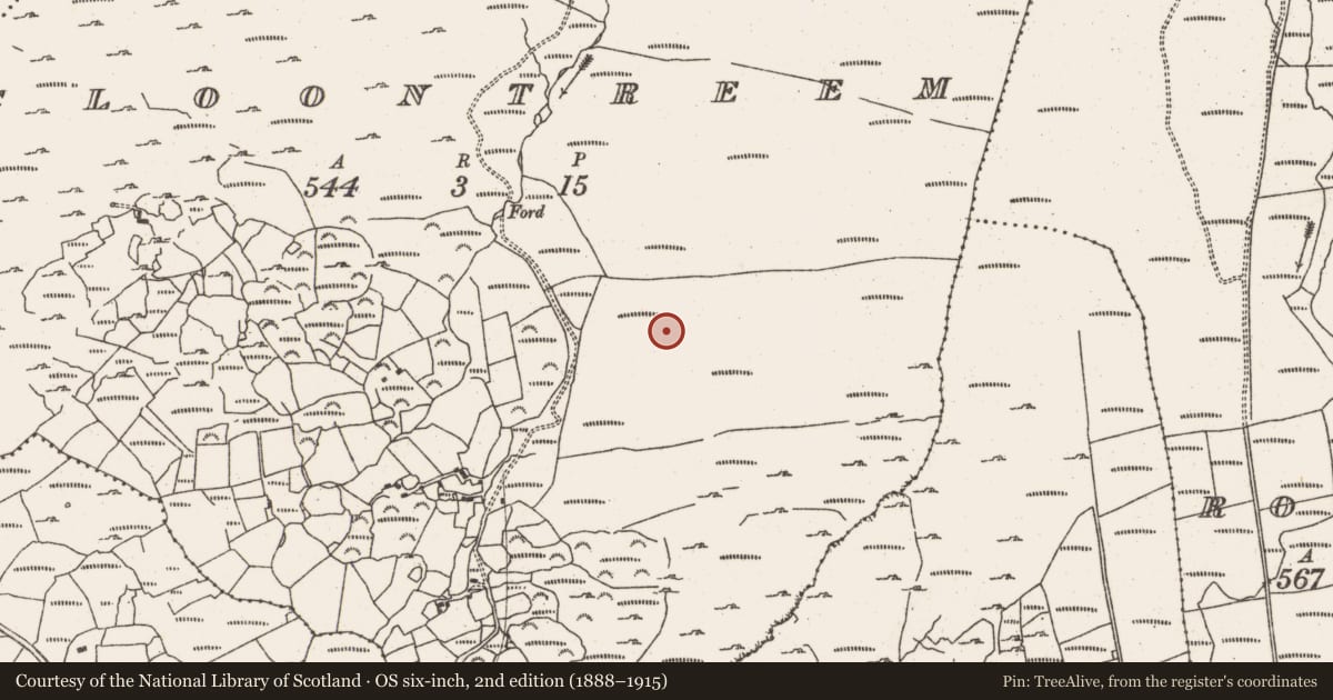 Ordnance Survey six-inch map, 2nd edition (1888–1915) covering the location of Fulacht fia, Cloontreem, County Cork, with a pin at the register's coordinates