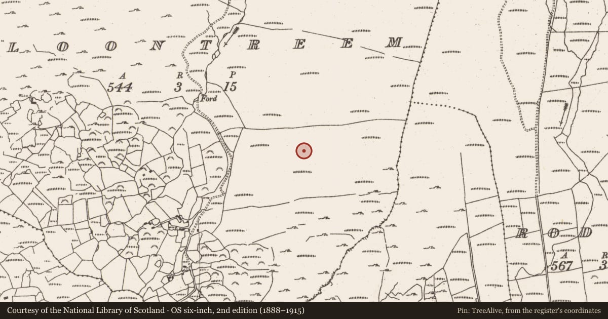 Ordnance Survey six-inch map, 2nd edition (1888–1915) covering the location of Enclosure, Cloontreem, County Cork, with a pin at the register's coordinates