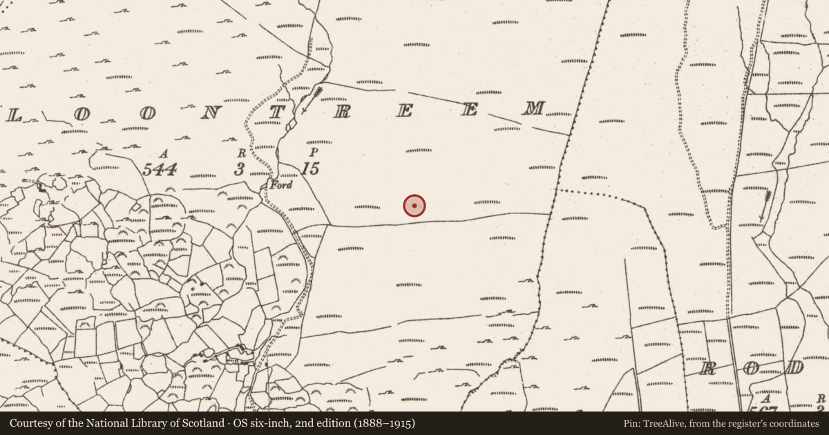 Ordnance Survey six-inch map, 2nd edition (1888–1915) covering the location of Hut site, Cloontreem, County Cork, with a pin at the register's coordinates