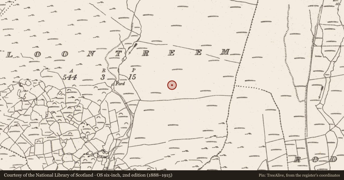 Ordnance Survey six-inch map, 2nd edition (1888–1915) covering the location of Hut site, Cloontreem, County Cork, with a pin at the register's coordinates