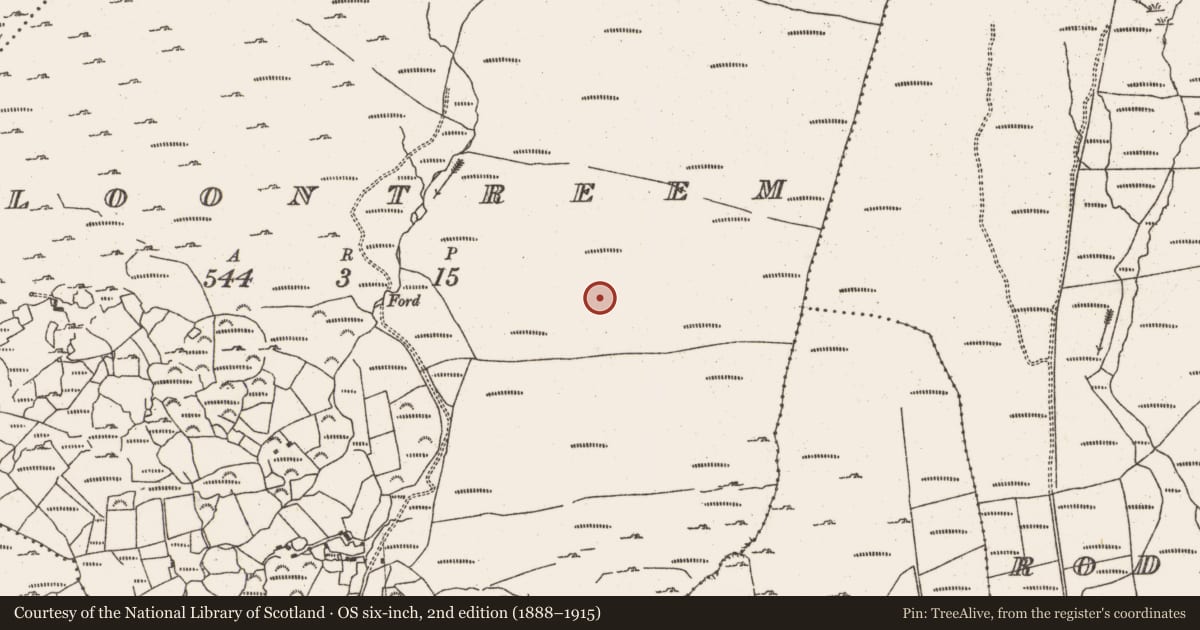Ordnance Survey six-inch map, 2nd edition (1888–1915) covering the location of Hut site, Cloontreem, County Cork, with a pin at the register's coordinates