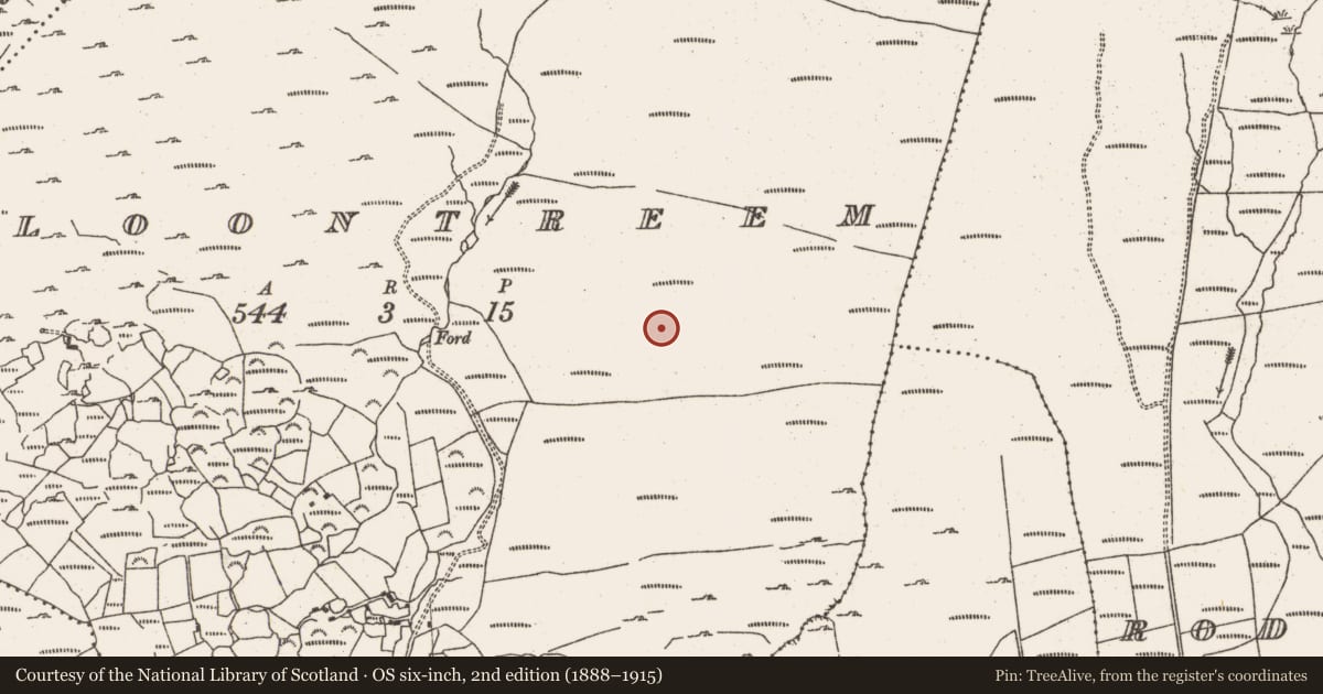 Ordnance Survey six-inch map, 2nd edition (1888–1915) covering the location of Hut site, Cloontreem, County Cork, with a pin at the register's coordinates
