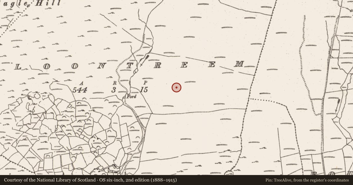 Ordnance Survey six-inch map, 2nd edition (1888–1915) covering the location of Hut site, Cloontreem, County Cork, with a pin at the register's coordinates