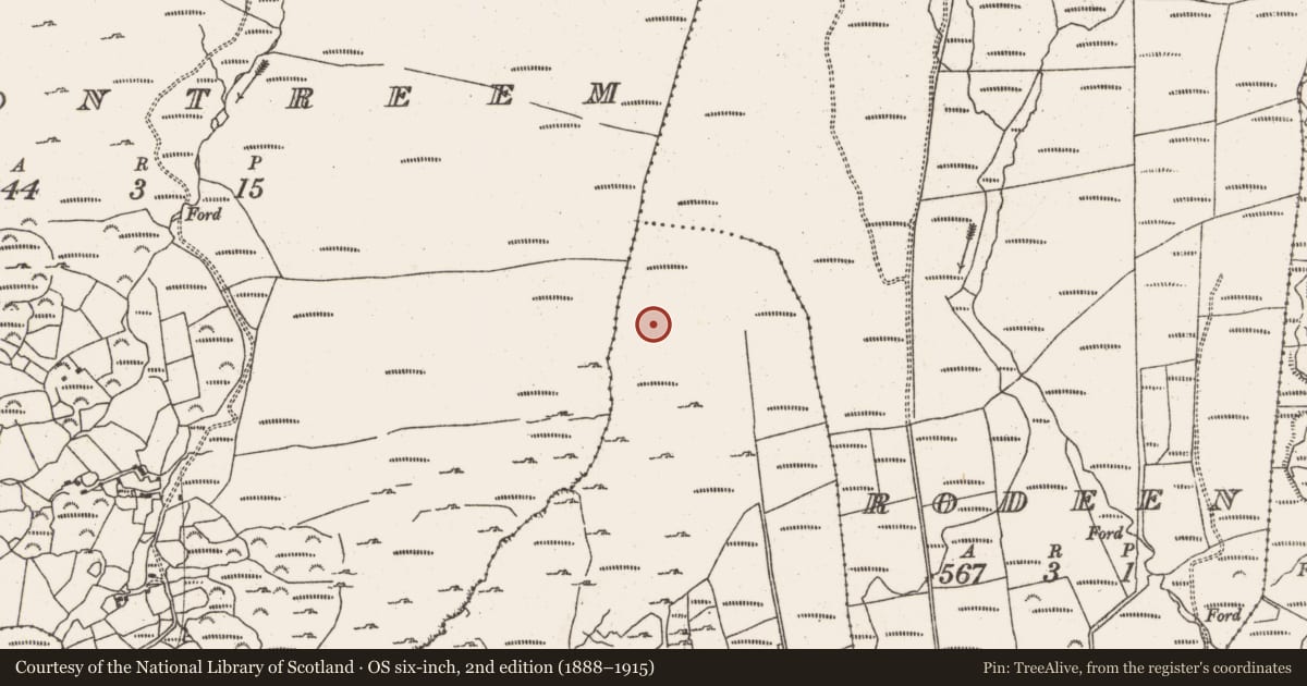 Ordnance Survey six-inch map, 2nd edition (1888–1915) covering the location of Cairn - unclassified, Derrymihin West, County Cork, with a pin at the register's coordinates