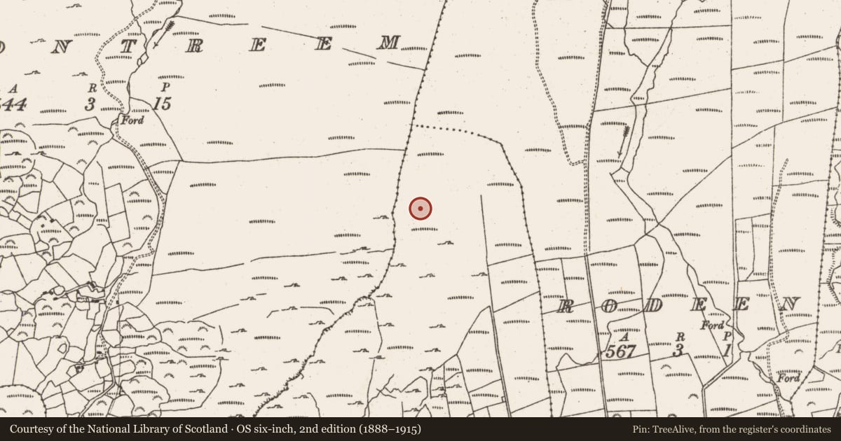 Ordnance Survey six-inch map, 2nd edition (1888–1915) covering the location of Field boundary, Derrymihin West, County Cork, with a pin at the register's coordinates