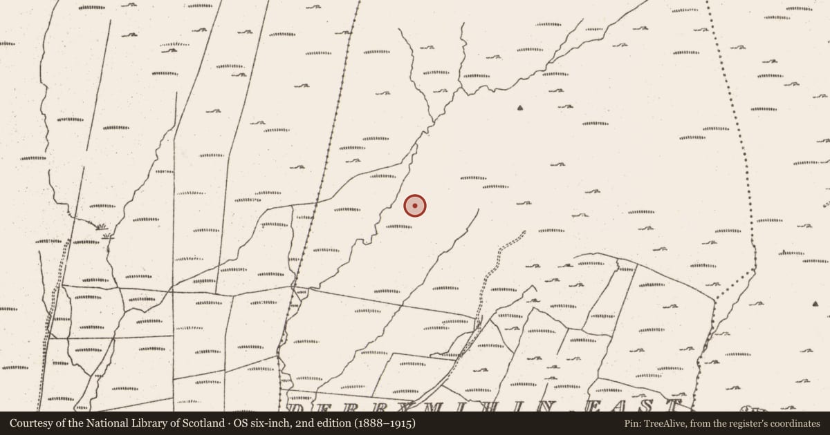 Ordnance Survey six-inch map, 2nd edition (1888–1915) covering the location of Field boundary, Derrymihin East, Rodeen, County Cork, with a pin at the register's coordinates