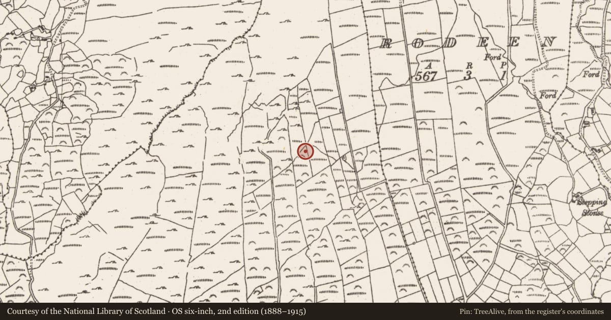 Ordnance Survey six-inch map, 2nd edition (1888–1915) covering the location of Megalithic tomb - wedge tomb, Derrymihin West, County Cork, with a pin at the register's coordinates