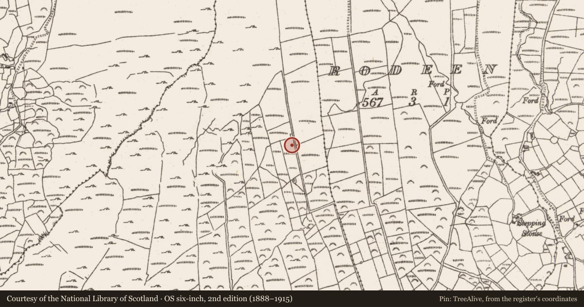 Ordnance Survey six-inch map, 2nd edition (1888–1915) covering the location of Standing stone, Derrymihin West, County Cork, with a pin at the register's coordinates