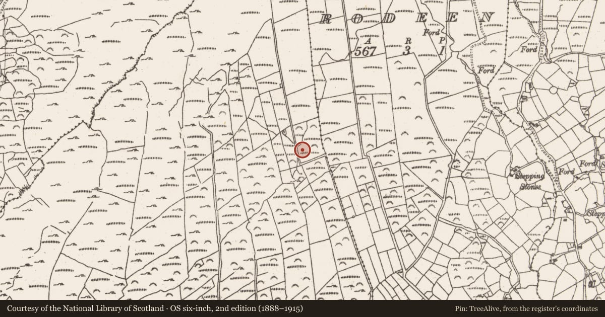 Ordnance Survey six-inch map, 2nd edition (1888–1915) covering the location of Fulacht fia, Derrymihin West, County Cork, with a pin at the register's coordinates