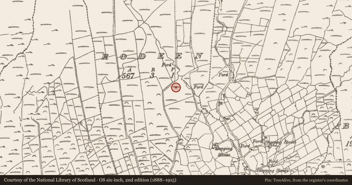 Ordnance Survey six-inch map, 2nd edition (1888–1915) covering the location of Standing stone, Rodeen, County Cork, with a pin at the register's coordinates