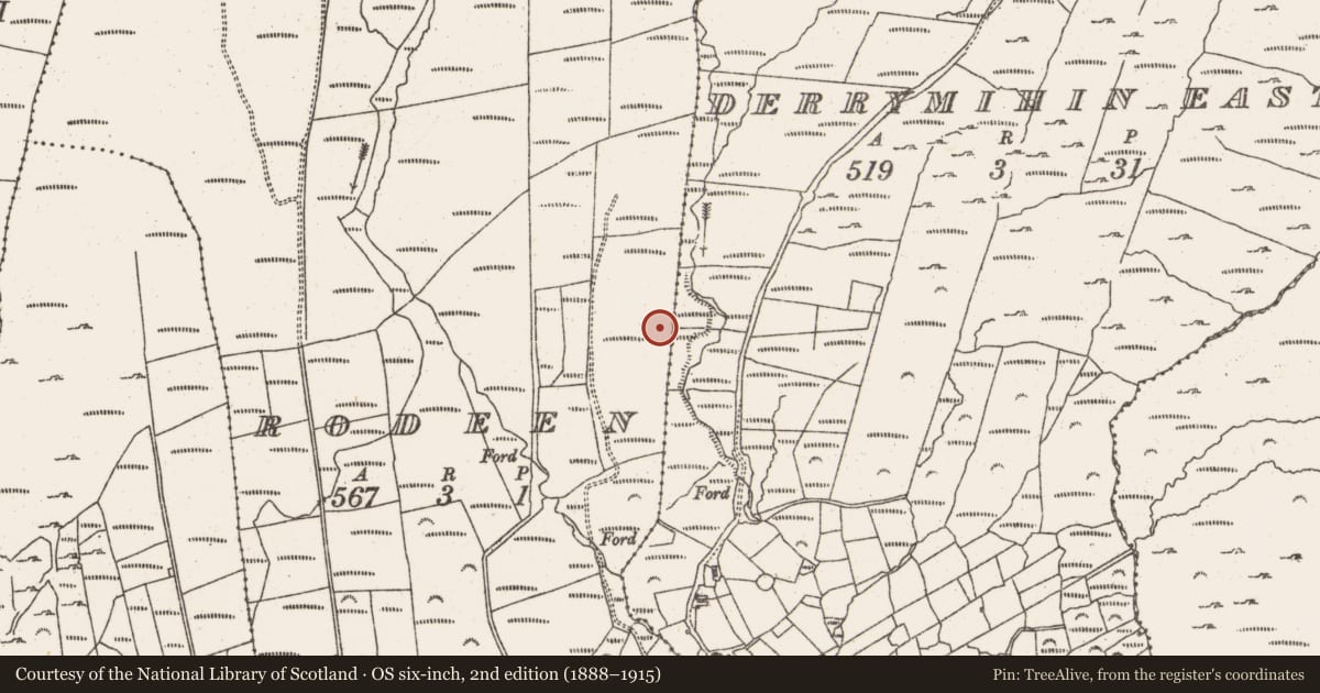 Ordnance Survey six-inch map, 2nd edition (1888–1915) covering the location of Field boundary, Rodeen, County Cork, with a pin at the register's coordinates