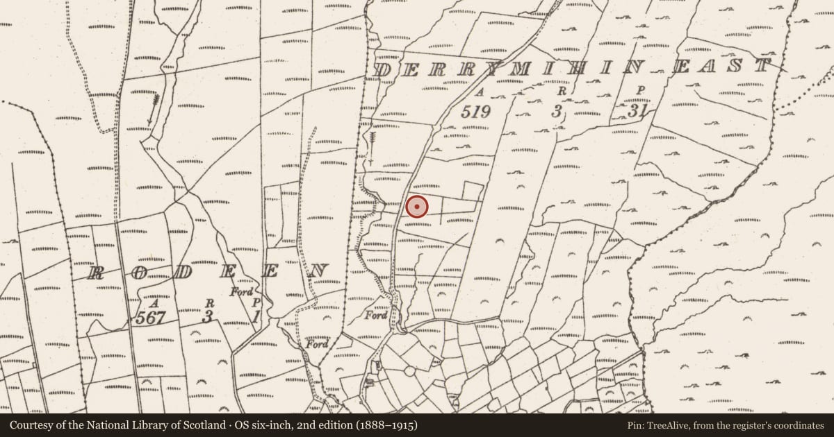 Ordnance Survey six-inch map, 2nd edition (1888–1915) covering the location of Standing stone, Derrymihin East, County Cork, with a pin at the register's coordinates
