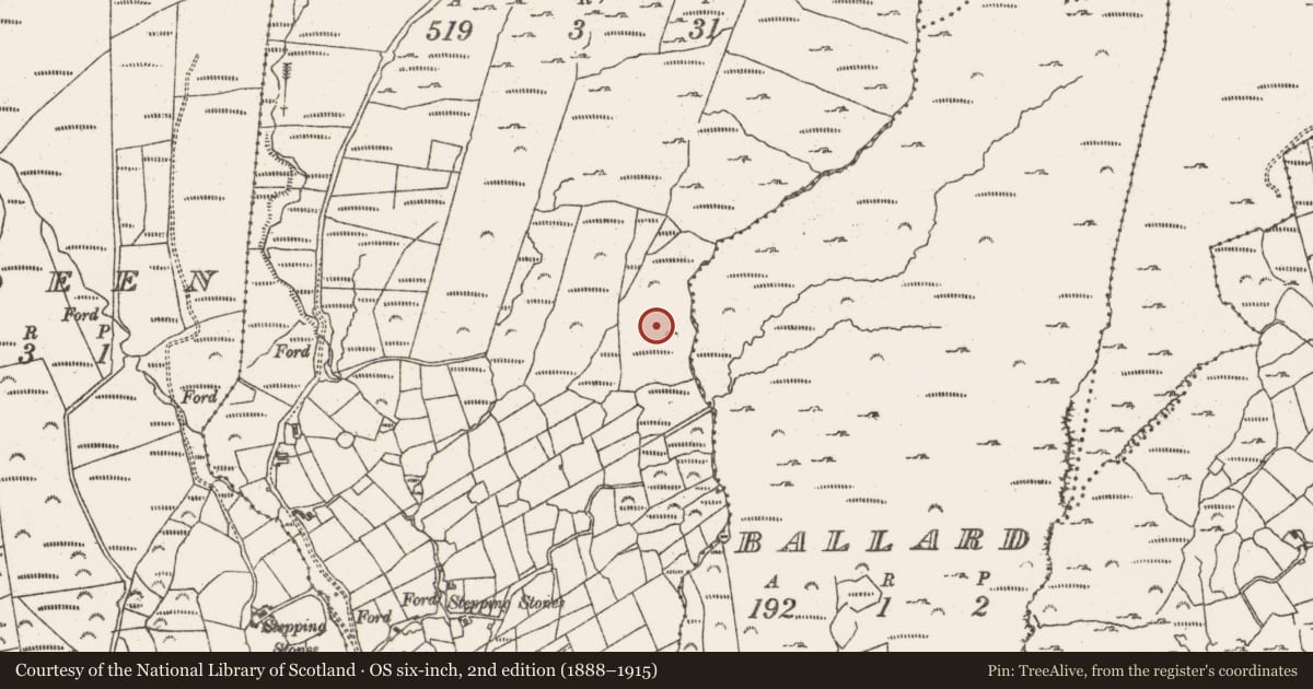 Ordnance Survey six-inch map, 2nd edition (1888–1915) covering the location of Field boundary, Derrymihin East, County Cork, with a pin at the register's coordinates