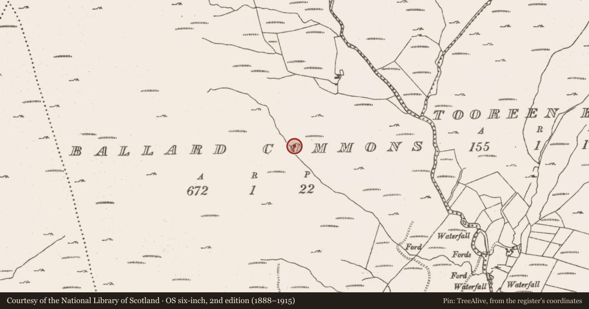 Ordnance Survey six-inch map, 2nd edition (1888–1915) covering the location of Hut site, Ballard Commons, County Cork, with a pin at the register's coordinates