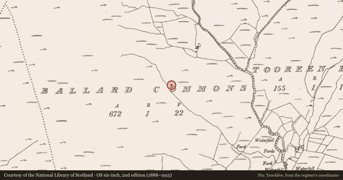 Ordnance Survey six-inch map, 2nd edition (1888–1915) covering the location of Hut site, Ballard Commons, County Cork, with a pin at the register's coordinates