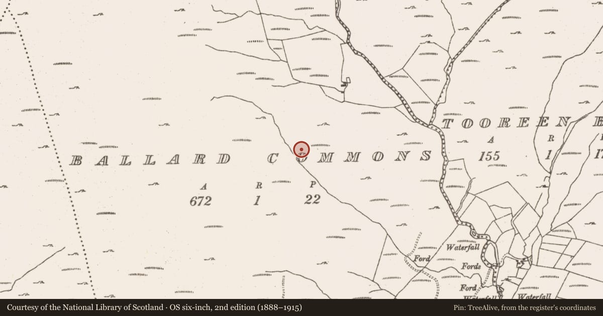 Ordnance Survey six-inch map, 2nd edition (1888–1915) covering the location of Hut site, Ballard Commons, County Cork, with a pin at the register's coordinates