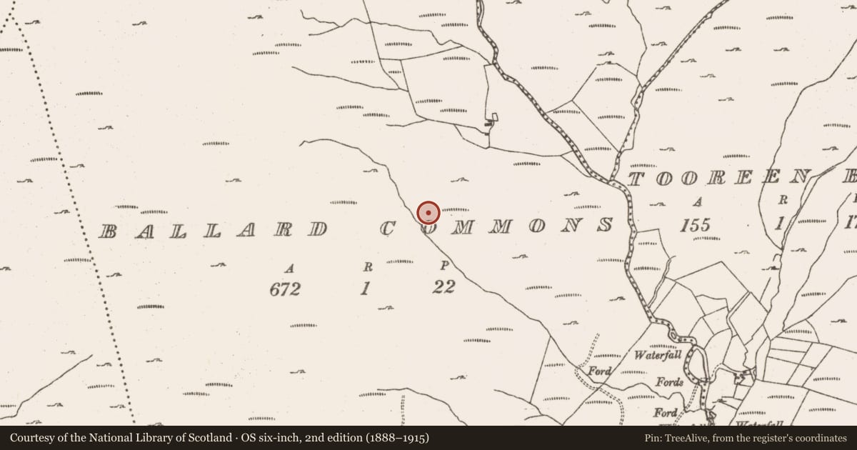 Ordnance Survey six-inch map, 2nd edition (1888–1915) covering the location of Hut site, Ballard Commons, County Cork, with a pin at the register's coordinates