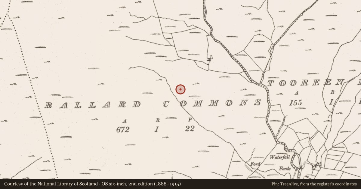 Ordnance Survey six-inch map, 2nd edition (1888–1915) covering the location of Hut site, Ballard Commons, County Cork, with a pin at the register's coordinates