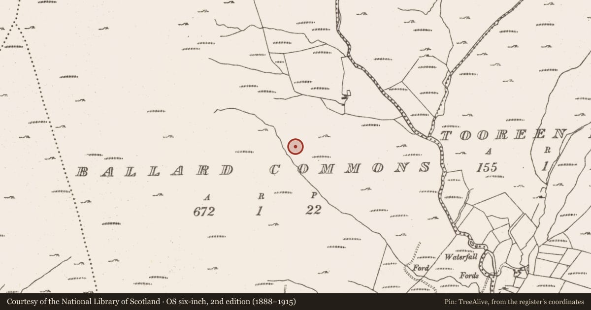 Ordnance Survey six-inch map, 2nd edition (1888–1915) covering the location of Hut site, Ballard Commons, County Cork, with a pin at the register's coordinates