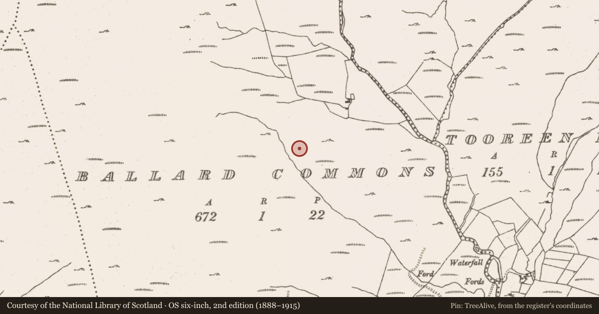 Ordnance Survey six-inch map, 2nd edition (1888–1915) covering the location of Hut site, Ballard Commons, County Cork, with a pin at the register's coordinates