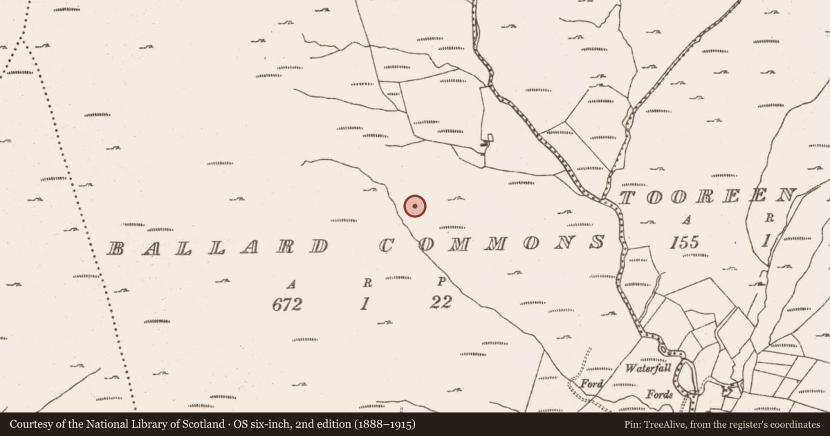 Ordnance Survey six-inch map, 2nd edition (1888–1915) covering the location of Hut site, Ballard Commons, County Cork, with a pin at the register's coordinates