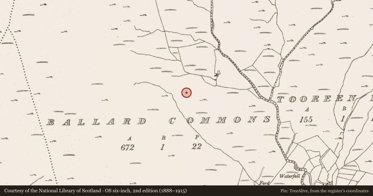 Ordnance Survey six-inch map, 2nd edition (1888–1915) covering the location of Hut site, Ballard Commons, County Cork, with a pin at the register's coordinates