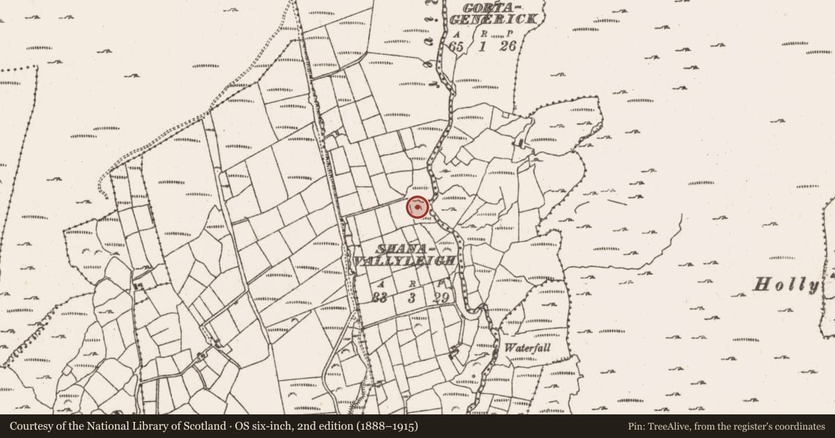 Ordnance Survey six-inch map, 2nd edition (1888–1915) covering the location of Cist, Shanavallyleigh, County Cork, with a pin at the register's coordinates