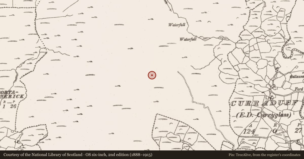 Ordnance Survey six-inch map, 2nd edition (1888–1915) covering the location of Hut site, Rossmackowen Commons, County Cork, with a pin at the register's coordinates